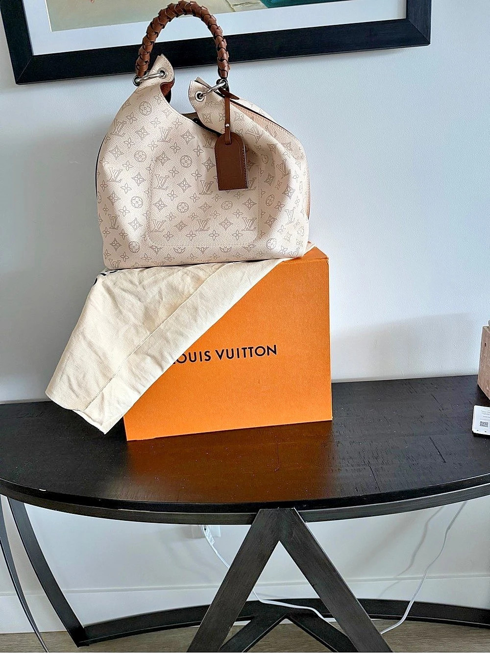 Louis Vuitton Carmel Hobo Monogram Bag in White & Brown